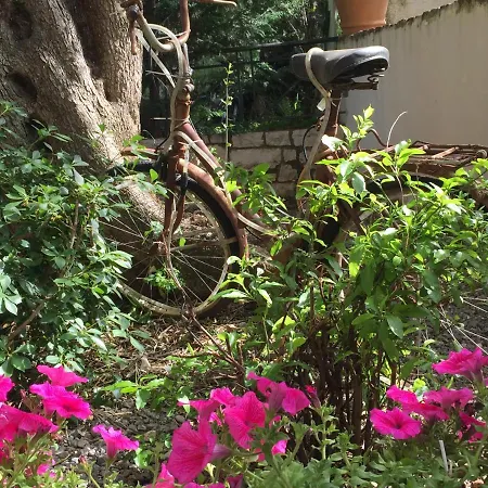 Villa Vraxleri House