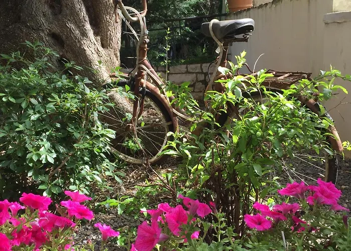 Vilă Vraxleri House